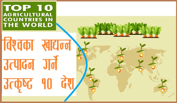 विश्वमा सबैभन्दा बढि खाद्यन्न उत्पादन गर्ने देश चीन,  नेपाल दाल र अदुवामा ५ औं स्थानमा 